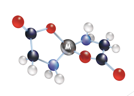 Why is Sucralose Bad For Your health? – MOXi Nutrition™